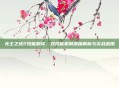 无主之地2技能翻译，双技能机制深度解析与实战应用