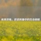 疾风淬炼，逆战风暴中的生命韧歌