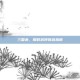 三国杀，限时武将挑选指南