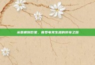 从草根到巨星，普罗电竞生涯的传奇之路