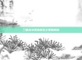 三国杀孙策良辰佳夕策略解析