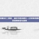 口袋妖怪黑白2二周目，暗影中的光明行—口袋妖怪黑白2二周目深度体验与感悟