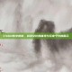 CSGO有字皮肤，游戏文化的体现与玩家个性的展示