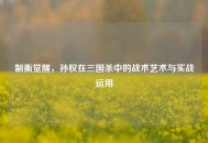 制衡觉醒，孙权在三国杀中的战术艺术与实战运用