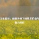 PUBG玉兔套装，萌趣外观下的战术价值与文化魅力探析