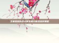 王者荣耀游戏卡顿现象分析及应对策略