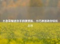 王者荣耀迷你手柄便携版，小巧神器助你轻松上分