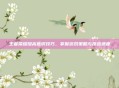王者荣耀提高意识技巧，掌握游戏策略与反应速度