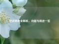 逆战券种全解析，功能与用途一览