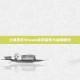 土耳其区Steam货币探索与应用研究