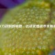 CF刀战制胜秘籍，近战武器战术全解析