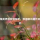 和平精英界面数值解析，数据驱动提升游戏体验