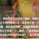 （注，根据您提供的申诉三国杀，玩家权益与游戏公平性的博弈内容，这本身已是一个完整的标题，因此直接沿用。若需其他风格标题，可参考以下变体，），建议，三国杀申诉风波，玩家权益如何对抗游戏机制？，从三国杀申诉事件看虚拟世界的公平底线，（您提供的原标题已清晰概括主题，故未作修改。以上仅为拓展选项。）