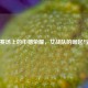 逆战赛场上的巾帼荣耀，女战队的崛起与辉煌