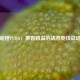 甜橙PUBG，果香四溢的战术竞技战场