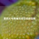 鲁班七号高爆发排位出装指南