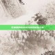 兄弟俩的穿越火线游戏体验分享