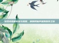 游戏内隐藏财富与荣耀，肩膀附魔声望的探索之旅
