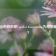 魔性治愈鹅游戏Untitled Goose Game为何风靡全球？