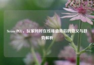 Steam PCU，玩家同时在线峰值背后的意义与趋势解析