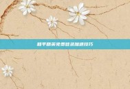 和平精英免费登录加速技巧