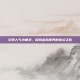 空间人气小精灵，探索虚拟世界的奇幻之旅