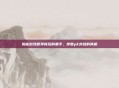 揭秘游戏世界背后的黑手，传世pk外挂的真相