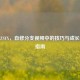逆战ZSYX，自修分支视频中的技巧与成长进阶指南