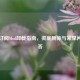 Steam订阅Mod卸载指南，彻底删除与常见问题解答