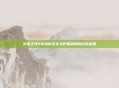 火炬之光2中减伤石头与护盾盾牌的战术运用