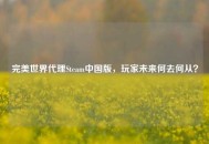 完美世界代理Steam中国版，玩家未来何去何从？