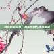 卧龙吟会谈将，战略布局与未来展望