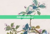 王者荣耀密码查看方法