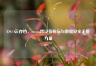 CSGO云存档，Steam跨设备畅玩与数据安全无忧方案