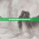 和平精英玩家遭遇读取进度问题