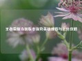 王者荣耀当前版本强势英雄推荐与上分攻略