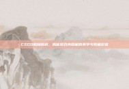 CSGO柏林贴纸，揭秘游戏内隐藏的美学与收藏价值