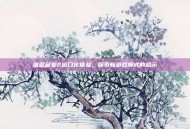维多利亚2窗口化体验，探索新游戏模式的启示