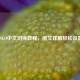 CSGO中文切换教程，图文详解轻松设置