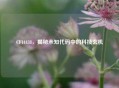 CF44438，揭秘未知代码中的科技玄机