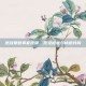 逆战爱意拳套视频，视觉盛宴与情感共鸣