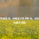 王者荣耀苏烈，视频瓶子战术解析，团战发动机进阶攻略