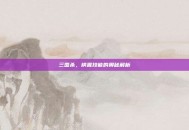 三国杀，横置技能的奥秘解析