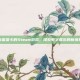 无需显卡的Steam游戏，探索数字娱乐的新境界