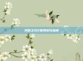 火炬之光2联网游玩指南