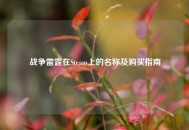 战争雷霆在Steam上的名称及购买指南