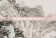 DNF封包技术提升，掌握游戏效率的关键