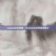 steam红衣军团，Steam红衣军团出征记