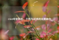 CSGO可变网名，个性与战术的完美融合