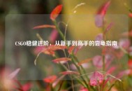 CSGO稳健进阶，从新手到高手的尝龟指南